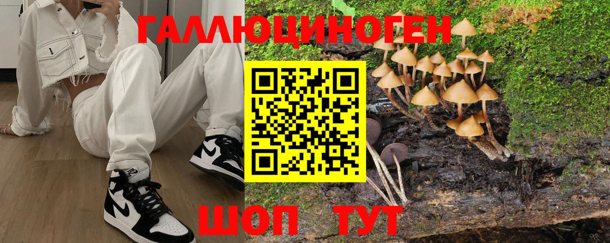 Псилоцибиновые грибы GOLDEN TEACHER  Вход с VPN  Кулебаки  Галлюциногенные грибы Psilocybe 