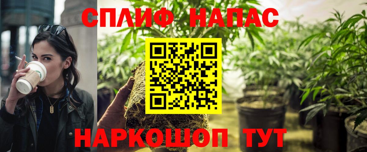 Каннабис план Кулебаки